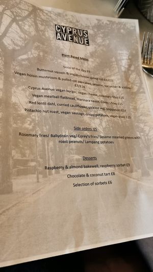  at Cyprus Avenue in Belfast