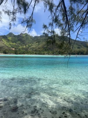 This is the view !!!  at Coco Beach Moorea in Moorea