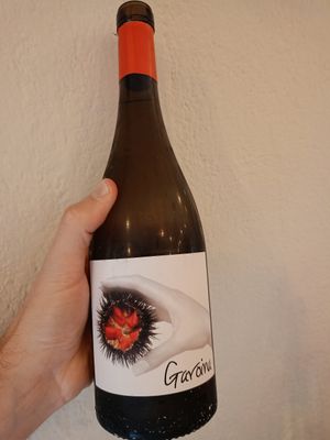 Garoina DO Empordà (Capmany) at Hostal de l'Aigua in Sant Llorenc De La Muga