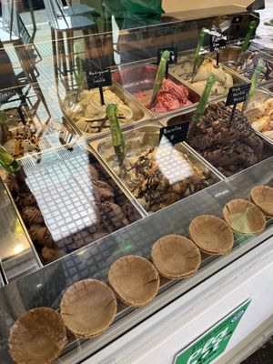   at Plan(e)t Ice Cream in Athens