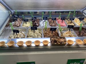 So many vegan options!  at Plan(e)t Ice Cream in Athens