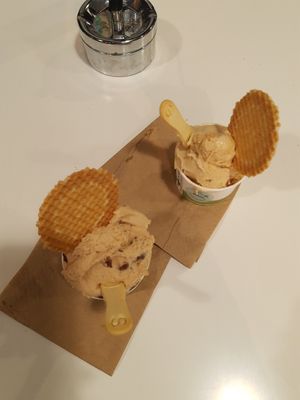 Yum at Plan(e)t Ice Cream in Athens