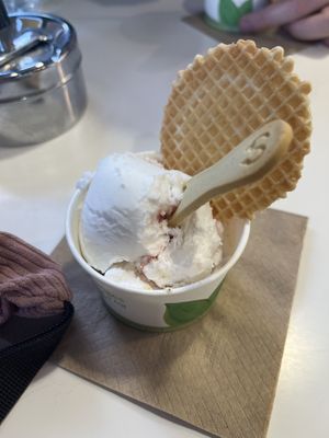   at Plan(e)t Ice Cream in Athens