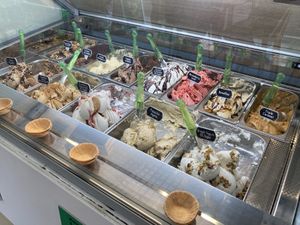 All vegan ice creams at Plan(e)t Ice Cream in Athens