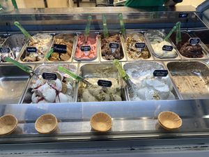   at Plan(e)t Ice Cream in Athens