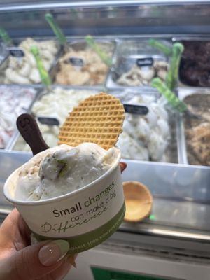   at Plan(e)t Ice Cream in Athens