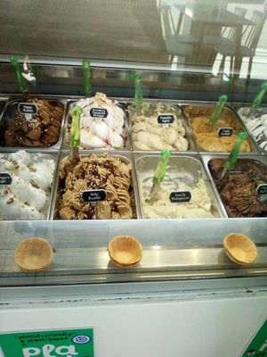 Options at Plan(e)t Ice Cream in Athens