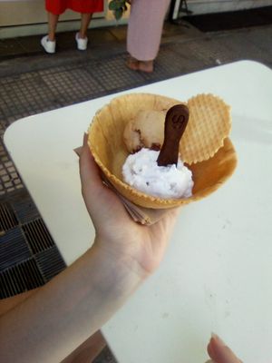 Two flavors in an edible bowl at Plan(e)t Ice Cream in Athens