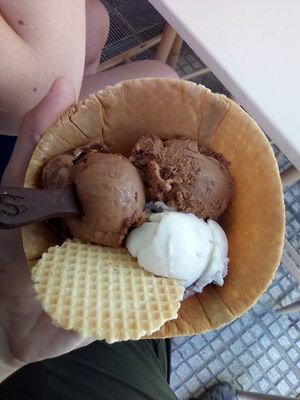 Three flavors in an edible bowl at Plan(e)t Ice Cream in Athens