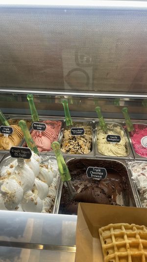   at Plan(e)t Ice Cream in Athens