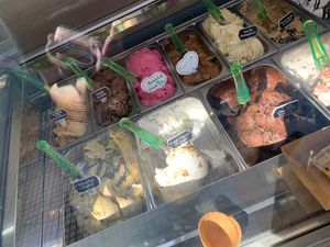 Options  at Plan(e)t Ice Cream in Athens