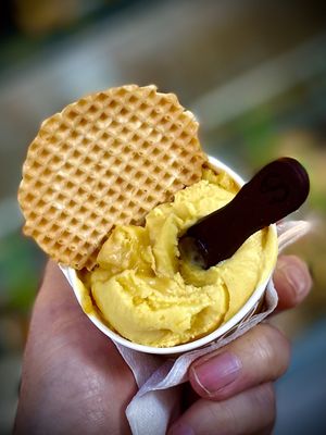 Panettone Ice Cream #Veganuary at Plan(e)t Ice Cream in Athens