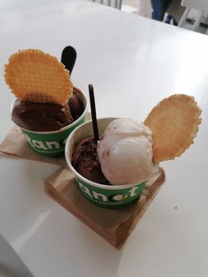 Sample regular portions at Plan(e)t Ice Cream in Athens
