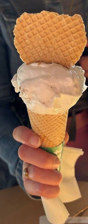 Greek yoghurt at Plan(e)t Ice Cream in Athens