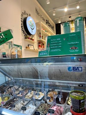 Selection of ice-creams. at Plan(e)t Ice Cream in Athens