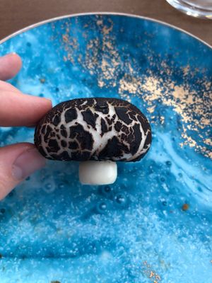 Truffle bun at Tàn Chá Restaurant  in Dubai