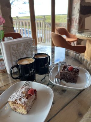   at Wee Bear Cafe in Kirriemuir