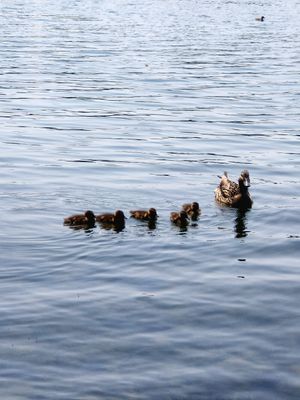 Not on the menu!!! at MOLO in Hannover