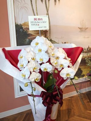 Once again JYOTI start at Jyoti in Sapporo