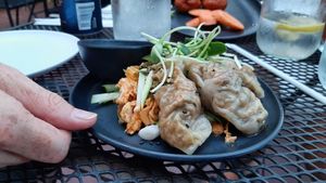 Gyoza at Vegan A.F. in Brattleboro