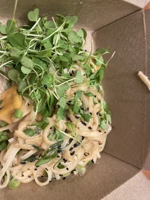 Peanut tofu noodles   at Vegan A.F. in Brattleboro