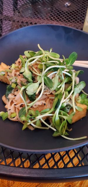 Peanut tofu noodles at Vegan A.F. in Brattleboro