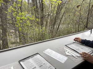 Counter height “bar” seating  at Vegan A.F. in Brattleboro