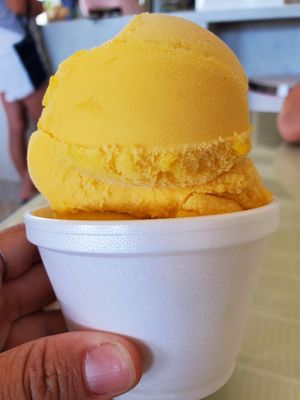 Mango at The Lighthouse Hotel Cafe in Port Isabel