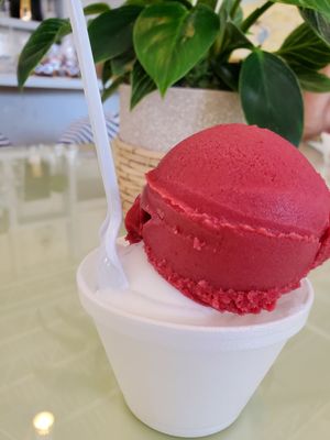 Raspberry with lemon at The Lighthouse Hotel Cafe in Port Isabel