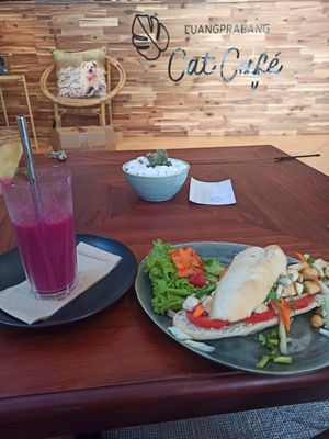  at The Happy Cat - Veggie Cafe-Restaurant in Luang Prabang