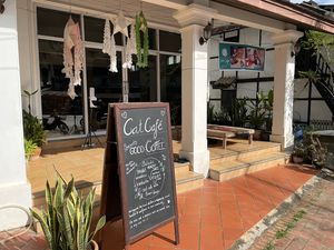   at The Happy Cat - Veggie Cafe-Restaurant in Luang Prabang