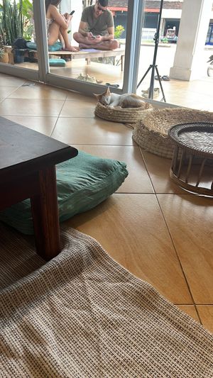   at The Happy Cat - Veggie Cafe-Restaurant in Luang Prabang