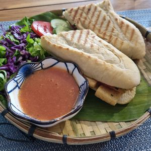 Cripsy Tofu Pesto Tomato at The Happy Cat - Veggie Cafe-Restaurant in Luang Prabang