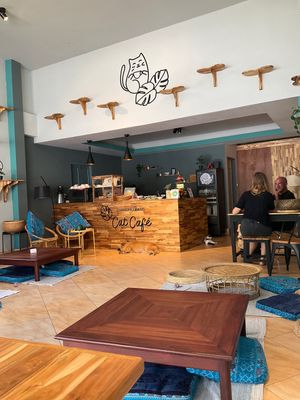   at The Happy Cat - Veggie Cafe-Restaurant in Luang Prabang