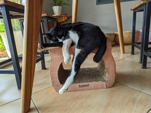  at The Happy Cat - Veggie Cafe-Restaurant in Luang Prabang