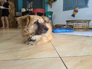 S at The Happy Cat - Veggie Cafe-Restaurant in Luang Prabang