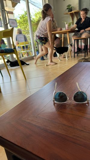  #Veganuary at The Happy Cat - Veggie Cafe-Restaurant in Luang Prabang