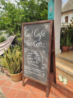  at The Happy Cat - Veggie Cafe-Restaurant in Luang Prabang