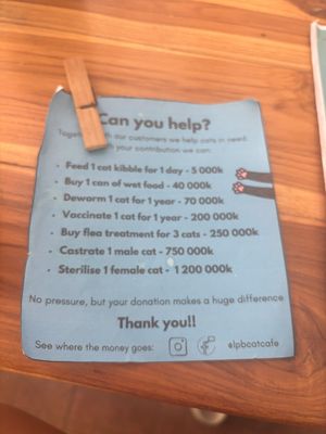   at The Happy Cat - Veggie Cafe-Restaurant in Luang Prabang