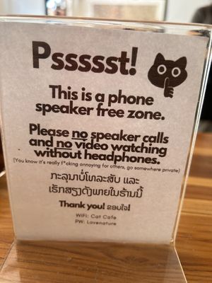   at The Happy Cat - Veggie Cafe-Restaurant in Luang Prabang