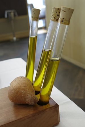 Tian at TIAN Restaurant in Vienna