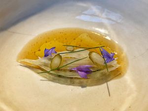 Fennel   at TIAN Restaurant in Vienna