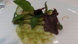 Vegan Black Salsify Dish at TIAN Restaurant in Vienna