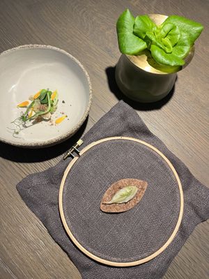   at TIAN Restaurant in Vienna