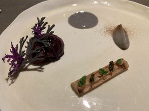 Salsify  at TIAN Restaurant in Vienna