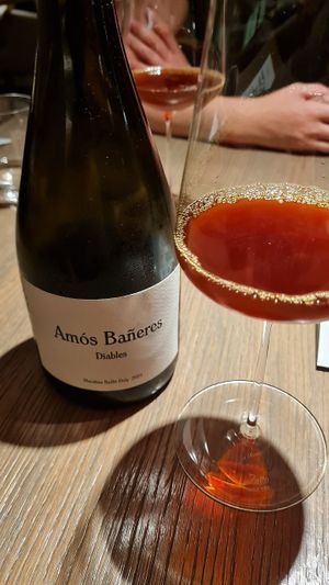   at TIAN Restaurant in Vienna