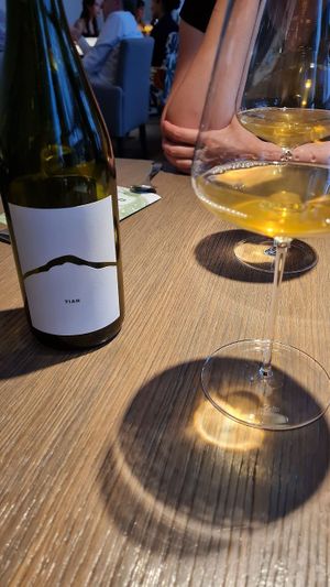   at TIAN Restaurant in Vienna