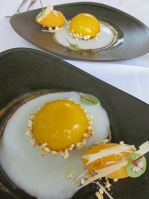 dessert, (not an egg!)  at TIAN Restaurant in Vienna