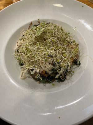   at Frothy Monkey  in Nashville