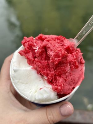 Raspberry and lemon at Gelateria Orso Bianco in Milan